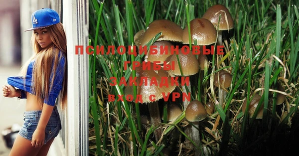 дживик Абаза
