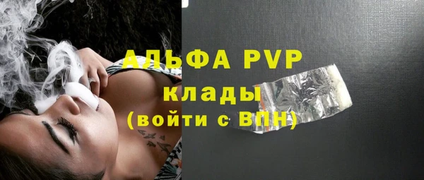 дживик Абаза