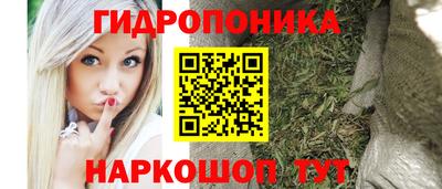 ГАЛЛЮЦИНОГЕННЫЕ ГРИБЫ Берёзовский