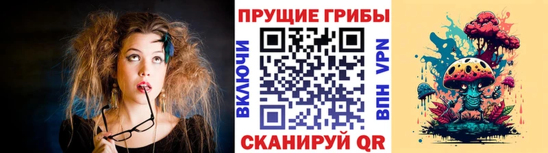 Псилоцибиновые грибы Magic Shrooms  кракен ТОР  Гагарин 